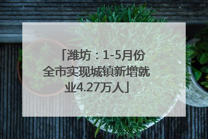 潍坊：1-5月份全市实现城镇新增就业4.27万人