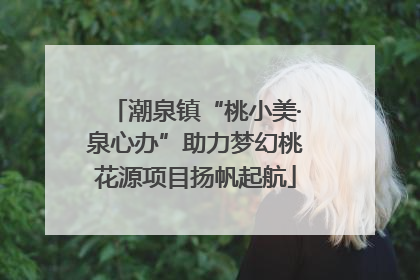 潮泉镇“桃小美·泉心办”助力梦幻桃花源项目扬帆起航