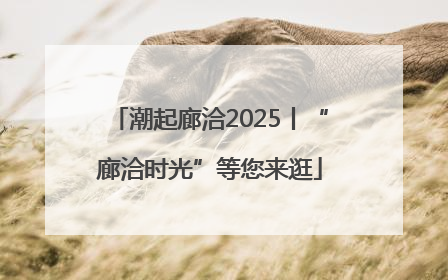 潮起廊洽2025丨“廊洽时光”等您来逛