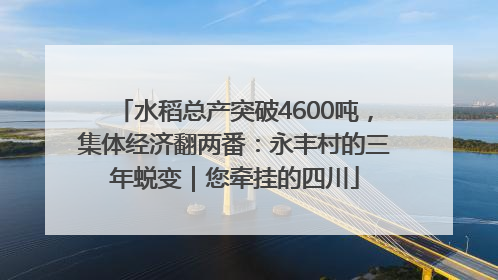 水稻总产突破4600吨，集体经济翻两番：永丰村的三年蜕变｜您牵挂的四川