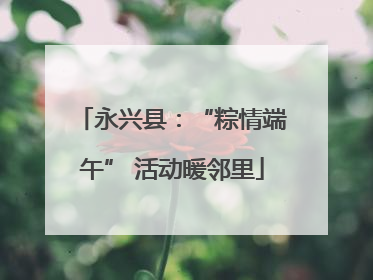 永兴县：“粽情端午” 活动暖邻里