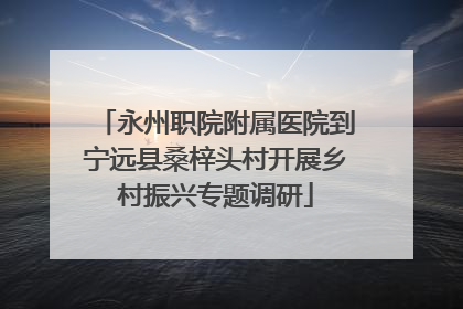 永州职院附属医院到宁远县桑梓头村开展乡村振兴专题调研