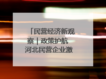 民营经济新观察｜政策护航 河北民营企业激发新“冀”遇