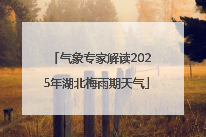 气象专家解读2025年湖北梅雨期天气