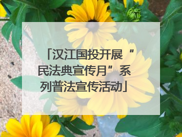 汉江国投开展“民法典宣传月”系列普法宣传活动