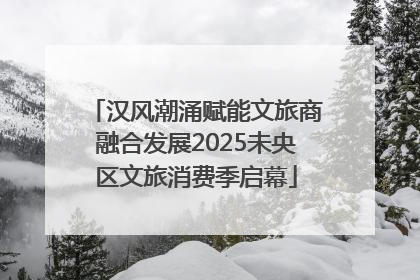 汉风潮涌赋能文旅商融合发展2025未央区文旅消费季启幕
