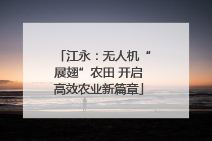 江永：无人机“展翅”农田 开启高效农业新篇章