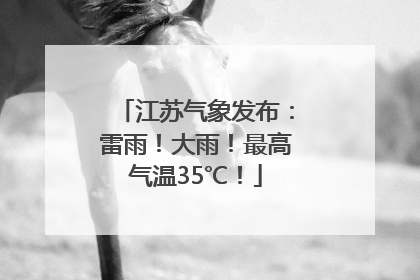 江苏气象发布：雷雨！大雨！最高气温35℃！