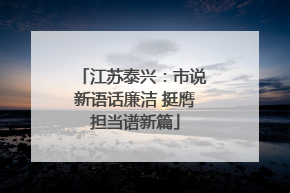 江苏泰兴：市说新语话廉洁 挺膺担当谱新篇