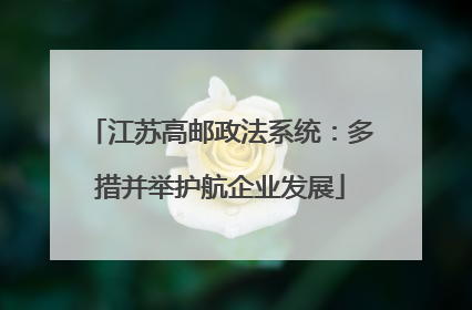 江苏高邮政法系统：多措并举护航企业发展