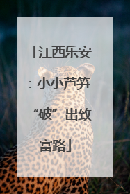 江西乐安：小小芦笋“破”出致富路