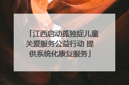 江西启动孤独症儿童关爱服务公益行动 提供系统化康复服务