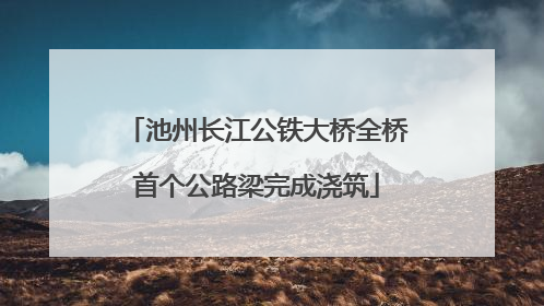 池州长江公铁大桥全桥首个公路梁完成浇筑