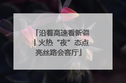 沿着高速看新疆丨火热“夜”态点亮丝路会客厅