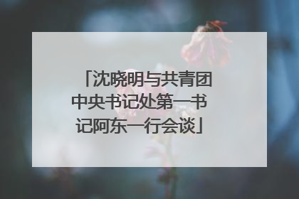 沈晓明与共青团中央书记处第一书记阿东一行会谈