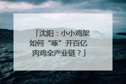 沈阳：小小鸡架如何“啄”开百亿肉鸡全产业链？