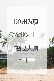 沧州为现代农业装上“智慧大脑”