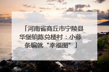 河南省商丘市宁陵县华堡镇陈兑楼村：小藤条编就“幸福图”