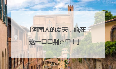 河南人的夏天，藏在这一口口荆芥里！