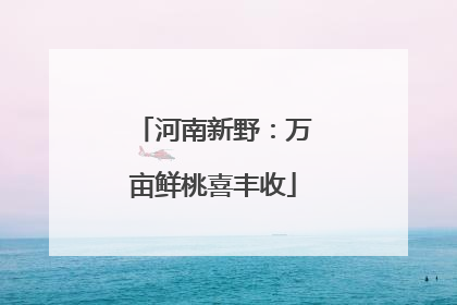 河南新野：万亩鲜桃喜丰收