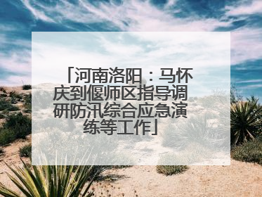 河南洛阳：马怀庆到偃师区指导调研防汛综合应急演练等工作