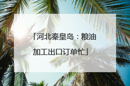 河北秦皇岛：粮油加工出口订单忙