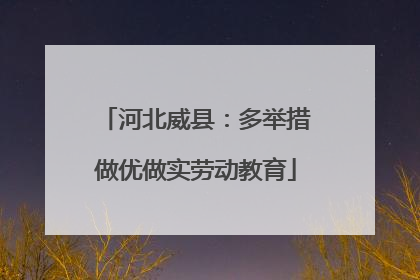河北威县：多举措做优做实劳动教育