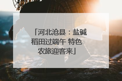 河北沧县：盐碱稻田过端午 特色农旅迎客来