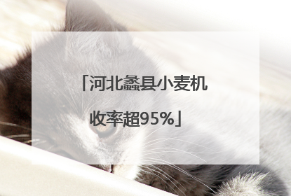 河北蠡县小麦机收率超95%