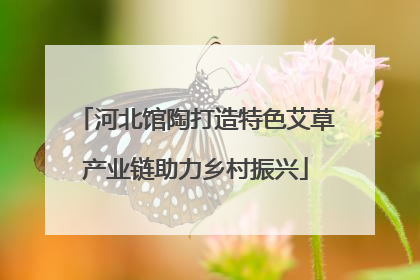 河北馆陶打造特色艾草产业链助力乡村振兴
