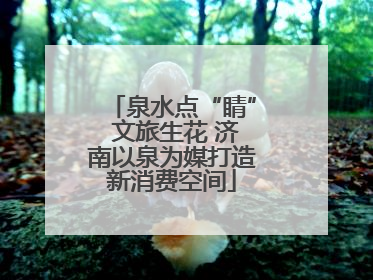 泉水点“睛” 文旅生花 济南以泉为媒打造新消费空间