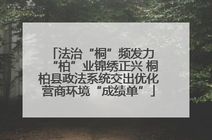 法治“桐”频发力 “柏”业锦绣正兴 桐柏县政法系统交出优化营商环境“成绩单”