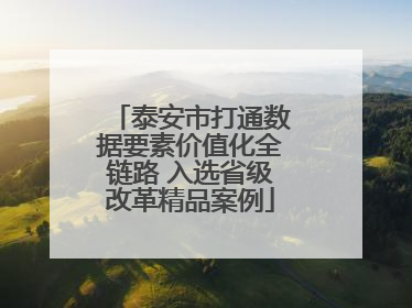 泰安市打通数据要素价值化全链路 入选省级改革精品案例