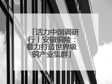 活力中国调研行丨安徽铜陵：着力打造世界级铜产业集群
