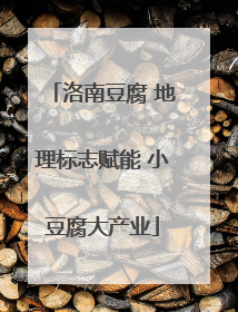 洛南豆腐 地理标志赋能 小豆腐大产业