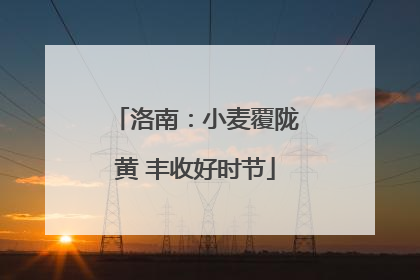 洛南：小麦覆陇黄 丰收好时节