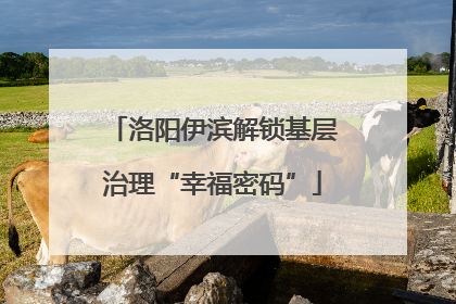 洛阳伊滨解锁基层治理“幸福密码”