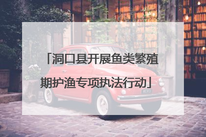 洞口县开展鱼类繁殖期护渔专项执法行动