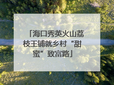 海口秀英火山荔枝王铺就乡村“甜蜜”致富路