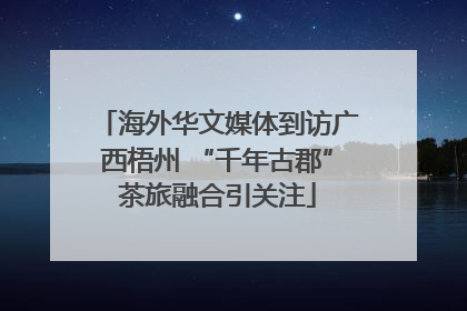海外华文媒体到访广西梧州 “千年古郡”茶旅融合引关注