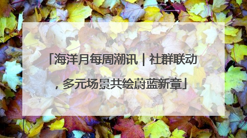 海洋月每周潮讯｜社群联动，多元场景共绘蔚蓝新章