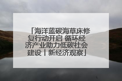 海洋蓝碳海草床修复行动开启 循环经济产业助力低碳社会建设丨新经济观察