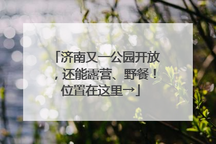 济南又一公园开放，还能露营、野餐！位置在这里→