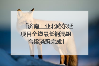 济南工业北路东延项目全线最长钢混组合梁浇筑完成