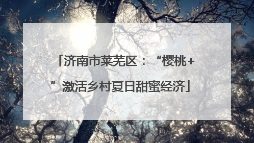 济南市莱芜区：“樱桃+”激活乡村夏日甜蜜经济