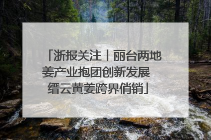 浙报关注丨丽台两地姜产业抱团创新发展 缙云黄姜跨界俏销