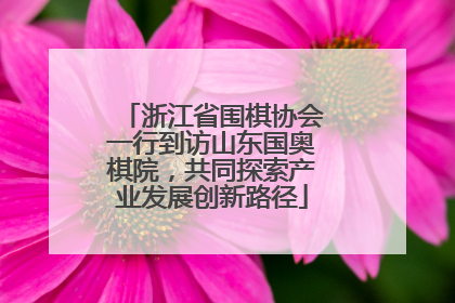 浙江省围棋协会一行到访山东国奥棋院，共同探索产业发展创新路径