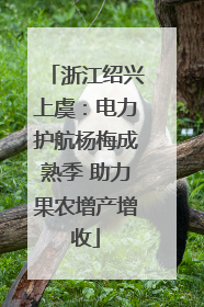 浙江绍兴上虞：电力护航杨梅成熟季 助力果农增产增收