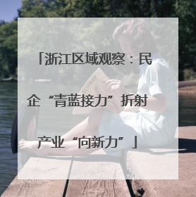 浙江区域观察：民企“青蓝接力”折射产业“向新力”