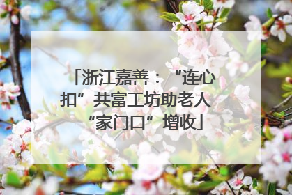 浙江嘉善：“连心扣”共富工坊助老人“家门口”增收